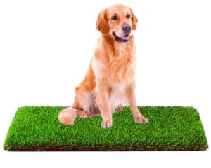 MTBRO Artificial Grass, Professional Dog Grass Mat, Outdoor Potty Training and Replacement Grass Mat