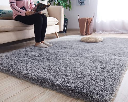 Noahas Luxury Fluffy Rugs Ultra Soft Shag Rug for Bedroom Living Room